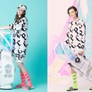 페르시안 캣 이미지