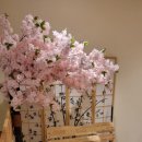 시샘달사흘 | 미사 카페 시샘달 사흘 방문 후기