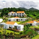 허브힐펜션 이미지