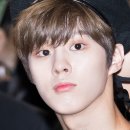 빛나는멋쟁이