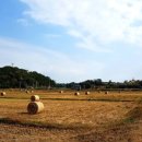 신성회관 이미지