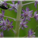 노루마당 이미지