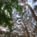 북천수 공중화장실 | 한적한 여행지 포항 흥해 북송리 북천수