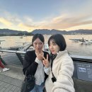 영쿠키