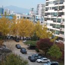 태양아파트 이미지