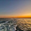 현대마린개발(금어호) 이미지