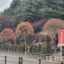 태화중앙로 이미지