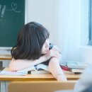 오라클에듀학원 | SQLD 자격증 독학 완벽 가이드: 1주일 단기 준비 전략과 노랭이 활용법