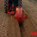 홍천군농업기술센터 서부지소 이미지