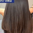 디그니티_연