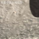 오륜주유소 네이버블로그