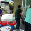 샛별초등학교 이미지