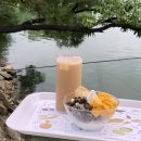 설악의원 | 가평애견동반카페 더웨이브에서 북한강·청평호 뷰 보며 즐긴 디저트 타임