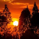 조마루로85번길 18 | 철거의 먼지 속에서 피어나는 꽃의 의미와 도시의 재생이 전하는 조용한 희망 이야기