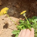 효경농장 이미지