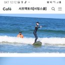 서프팩토리 티스토리