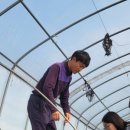 하늘그린 이미지