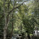 계룡산등산로(절) 이미지