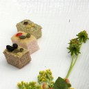 동강의품속 이미지