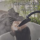 동탄2 두피관리 에그뮤즈스칼프 극락케어 (두피&amp;피부) 후기