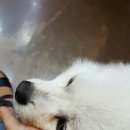 자르젠미용실