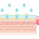 (주)유니토아 네이버블로그