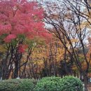 당현천근린공원 이미지