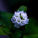 국제행정사 이미지