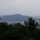 홍릉초교 이미지