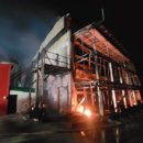 양계장닭한마리 이미지