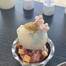 101-1-000016 | 한성대입구카페 비건 젤라또 아케미 내돈내산후기 아이스크림케이크