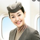 스카이윙 이미지