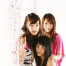 아이리스(IRIS) 이미지