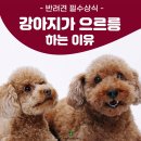 미사동물병원 이미지