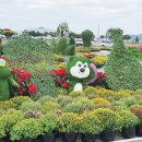 국화정원 이미지