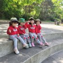 숲속예능어린이집 이미지