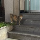 상도평마을 | 그정도 판단 능력은 있습니다.