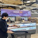 몽블랑제 센텀시티점 행사매대1 | 홈플러스 센텀시티점 메가 푸드 마켓 라이브 리뉴얼 오픈 세일 기대된다규!