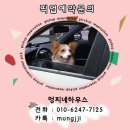 하비하우스 이미지