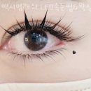 논현동 맥시멈래쉬 LED속눈썹&amp;왁싱&amp;브로우바 강남점 위치.가격.시간.후기