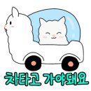 고성다이노캠핑장 이미지