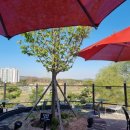 할리스 평택이충DT점 이미지