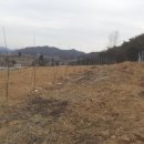 주정차12 이미지