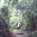 바위백이공원 이미지