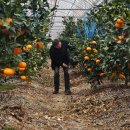 생규농장 이미지