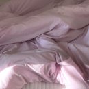 소수 이불 SOSU 선데이 세미마이크로 차렵이불 후기 모아보기 ＊ 퍼플 / 브라운 / 그레이 / 차콜