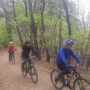 초록산등산로 이미지