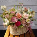 특별한돈 이미지