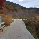 사과나무부동산공인중개사사무소 이미지