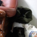 에코 켄넬 이미지